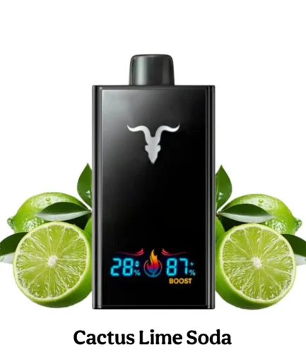 Ignite V300 Cactus lime Soda 30000pfs 50mg