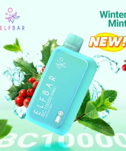 ELFBAR Winter Mint 10k puffs 20mg